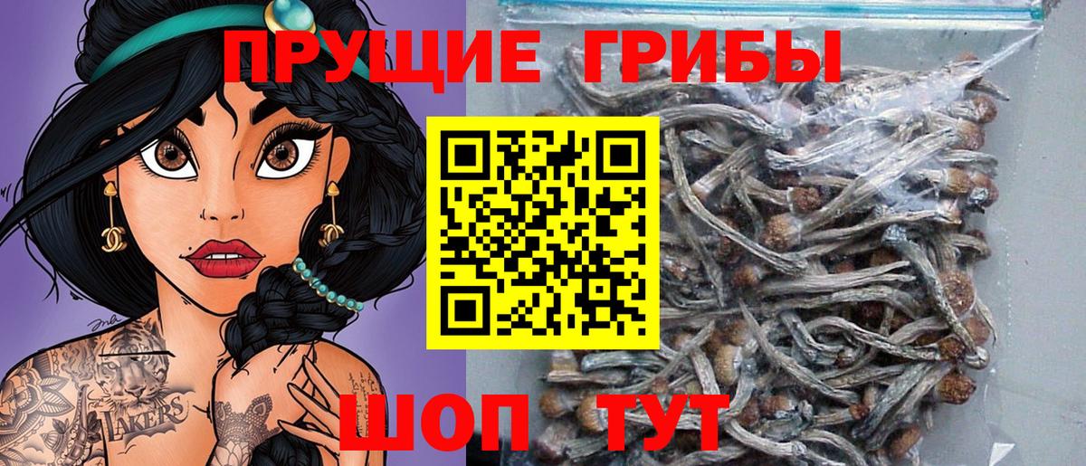 Галлюциногенные грибы Psilocybine cubensis  Галлюциногенные грибы мухоморы  Вход с VPN  Карталы 